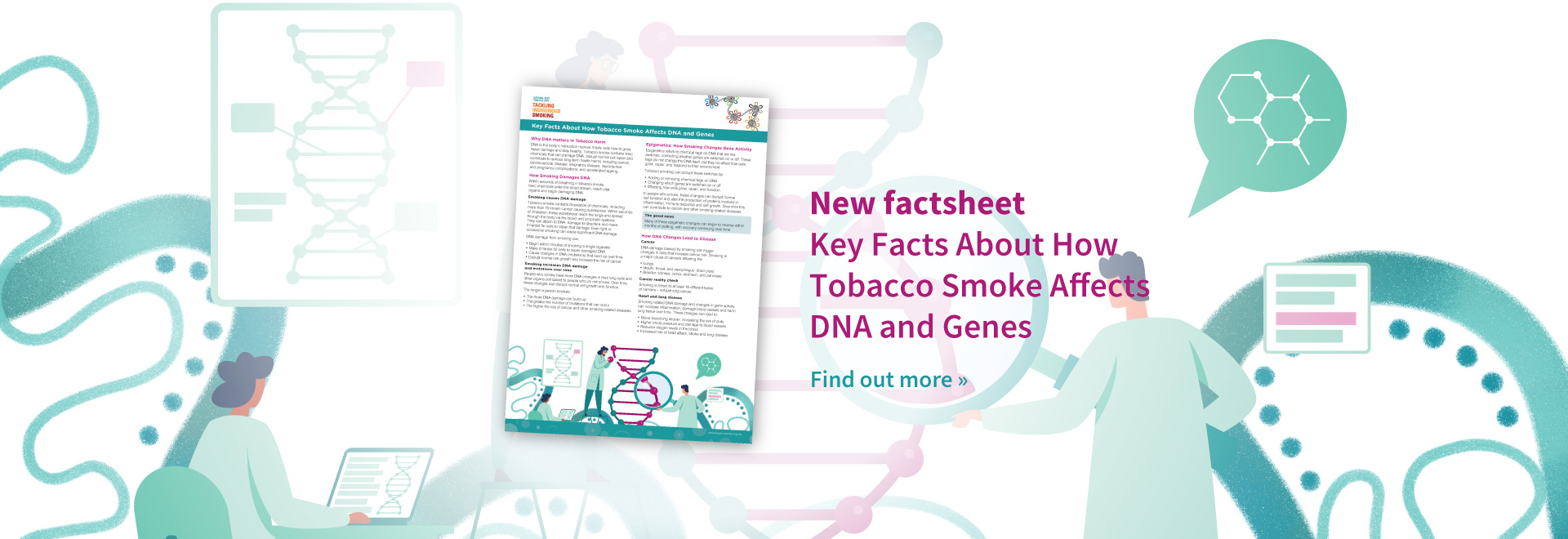 New factsheet banner